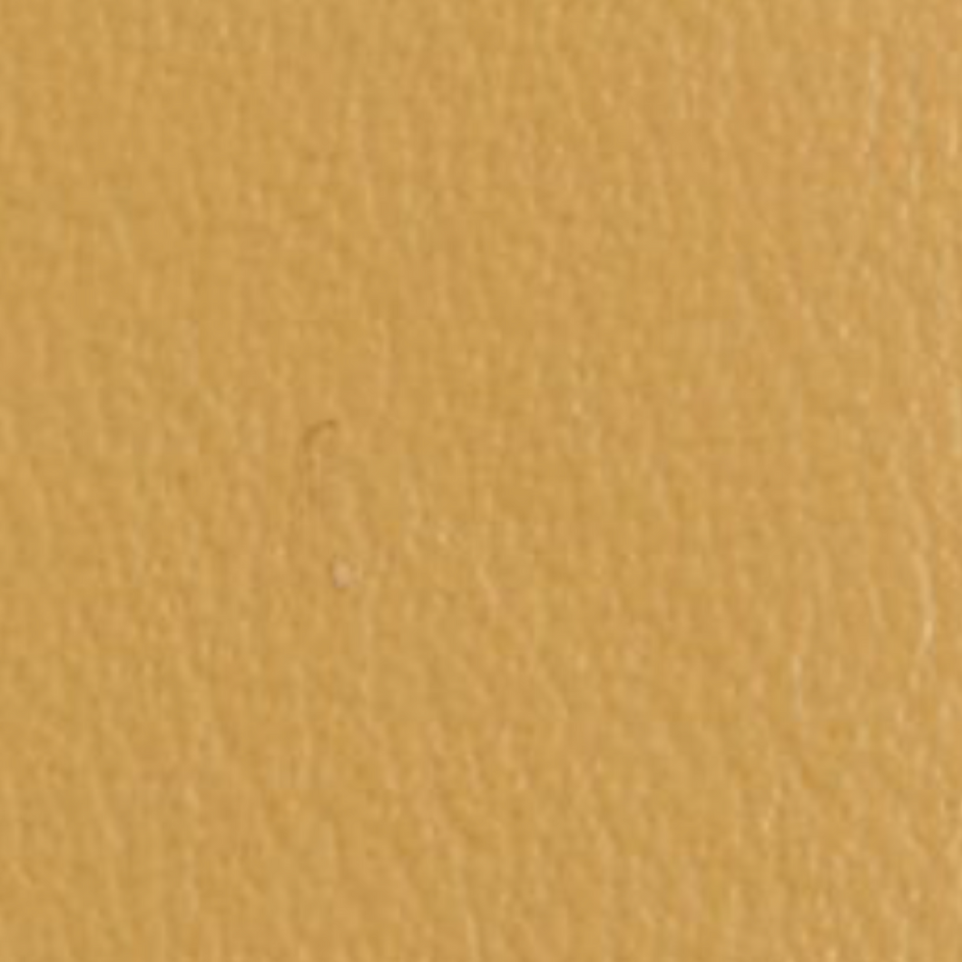 Mini Purse (Colour Options)