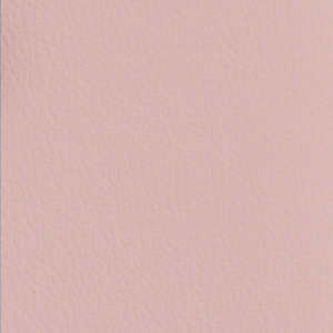 Mini Purse (Colour Options)