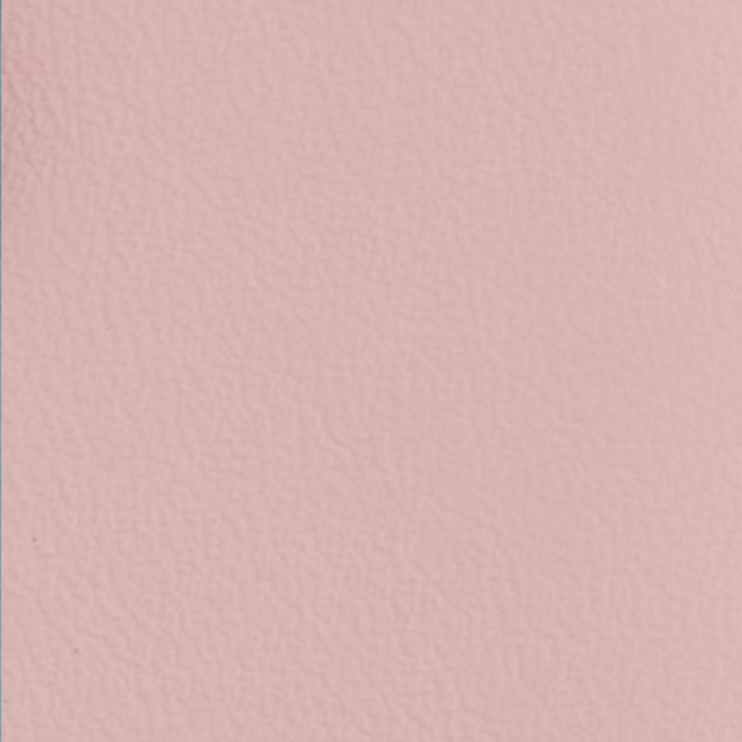 Mini Purse (Colour Options)