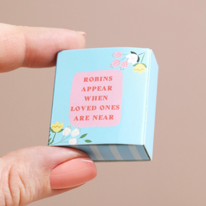 Tiny Matchbox (Ceramic Robin)