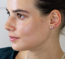 Load image into Gallery viewer, Crystal Bow Earring Set